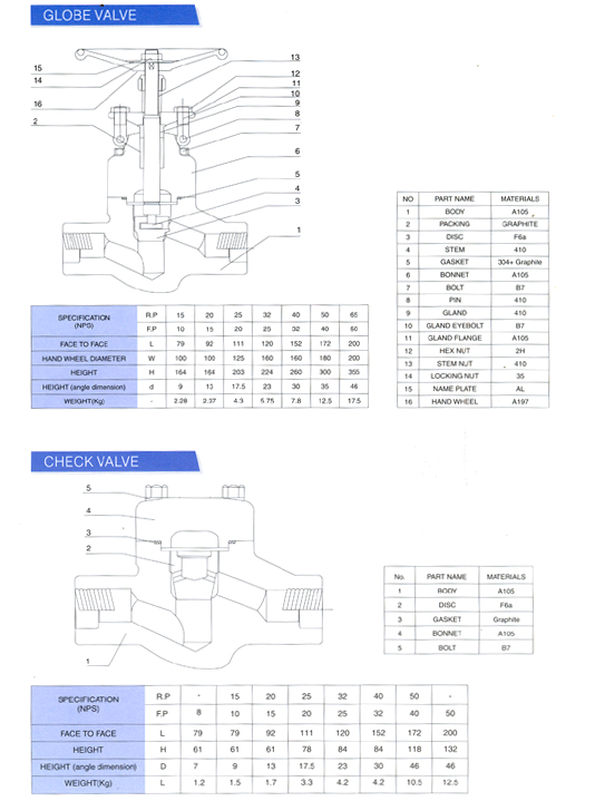 Globe Valve