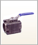 CRI BUTTERFLY VALVE