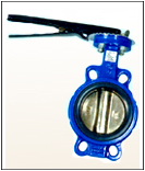 BUTTERFLY VALVE