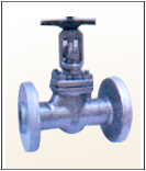 LEADER GATE VALVES