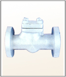 NON RETURN VALVES (CHECK VALVES) 