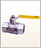 MULTI-PURPOSE BALL VALVE 