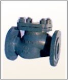 NON RETURN VALVES (CHECK VALVES) 