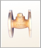 NON RETURN VALVES (CHECK VALVES) 